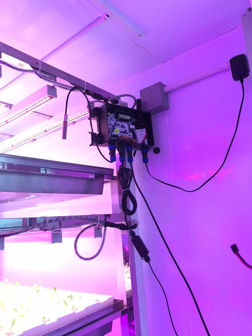 Connected electronics enclosure and wiring mounted beside growing racks under purple grow lights