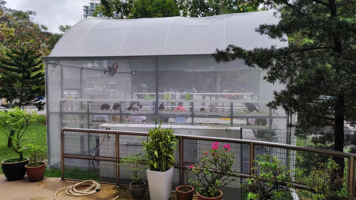 Side view of a mesh-covered greenhouse showing growing channels inside