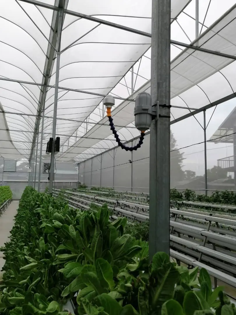 Two mounted monitoring devices above leafy-green growing channels inside a greenhouse